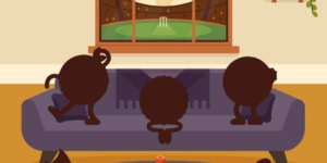 Google Pay T20 Vibes